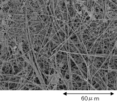 ガラスペーパーのSEM写真